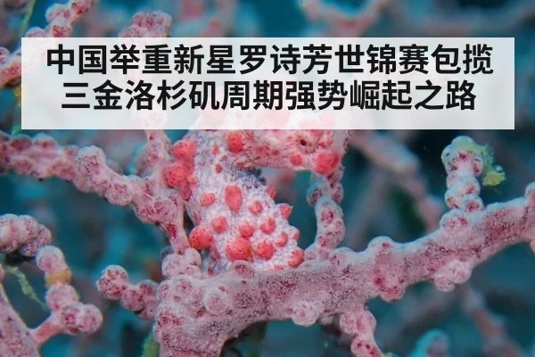 中国举重新星罗诗芳世锦赛包揽三金洛杉矶周期强势崛起之路