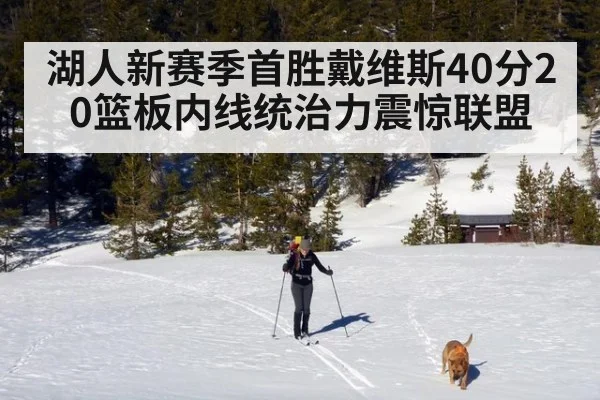 湖人新赛季首胜戴维斯40分20篮板内线统治力震惊联盟